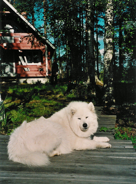 asla2001_laituri_color