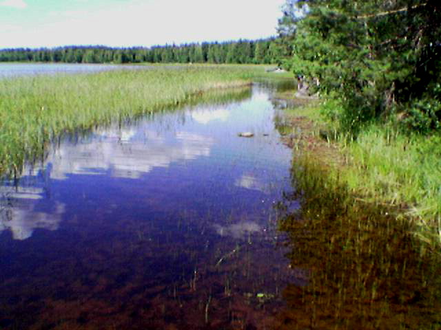 kesäkuor06_kaisniit03