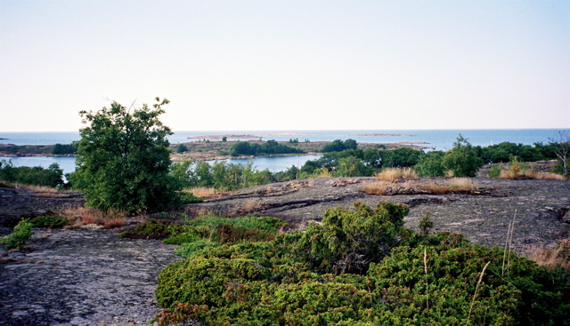 Aland2005_14