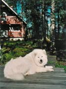 asla2001_laituri_color