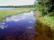 kesäkuor06_kaisniit03