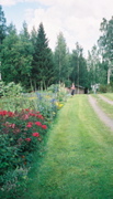 Runni2005_05
